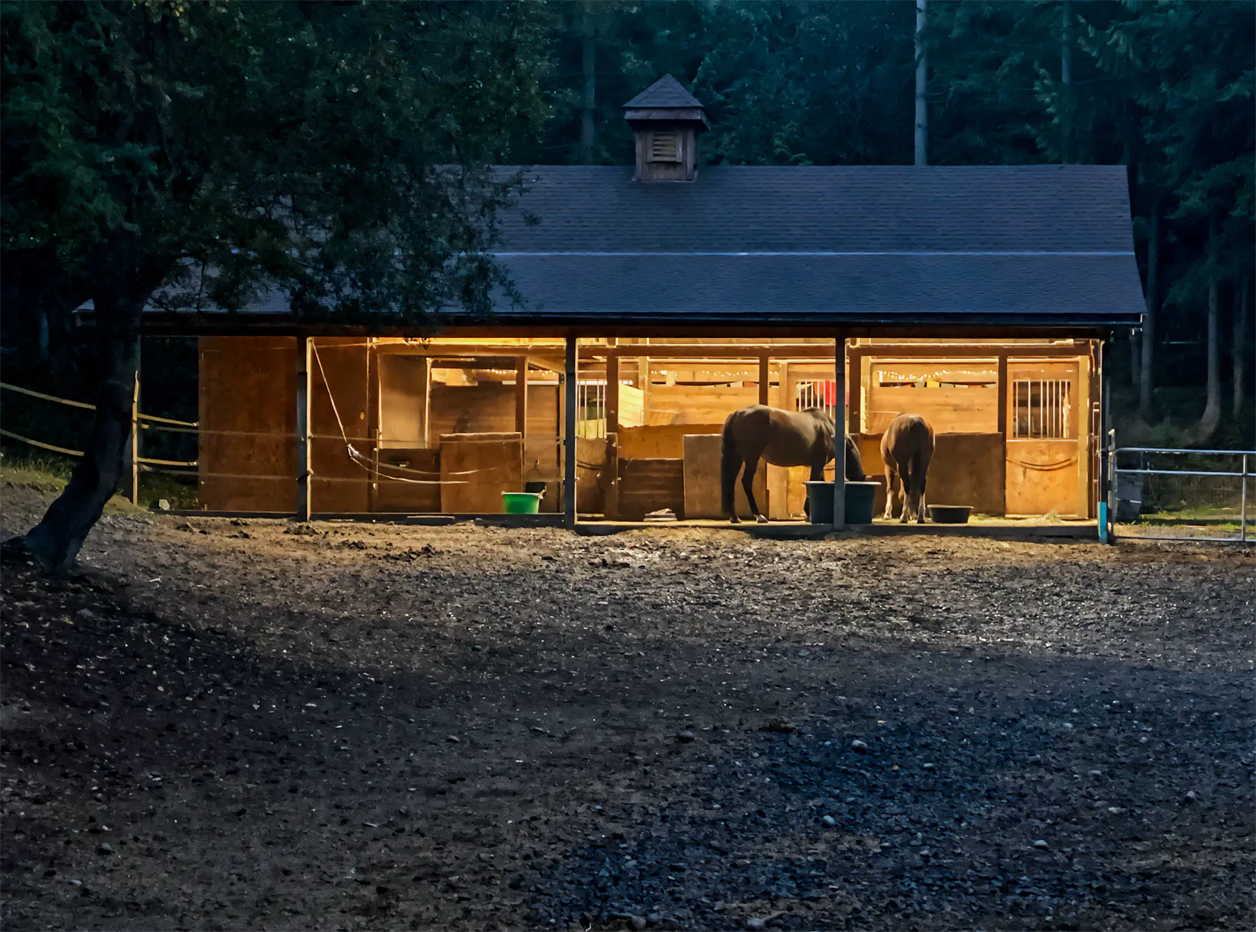 Heron Hill Equine horses