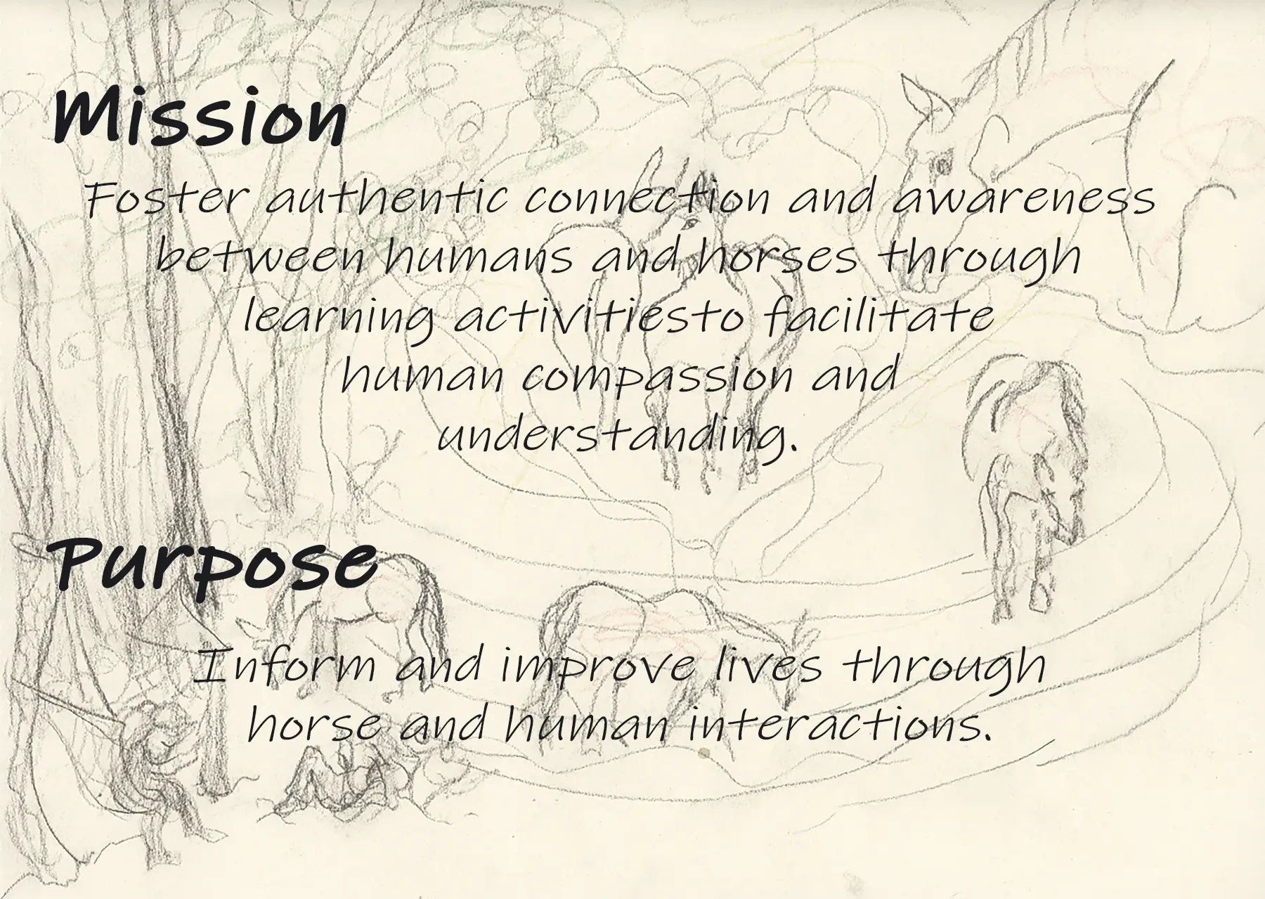 Mission and Purpose as a graphic image