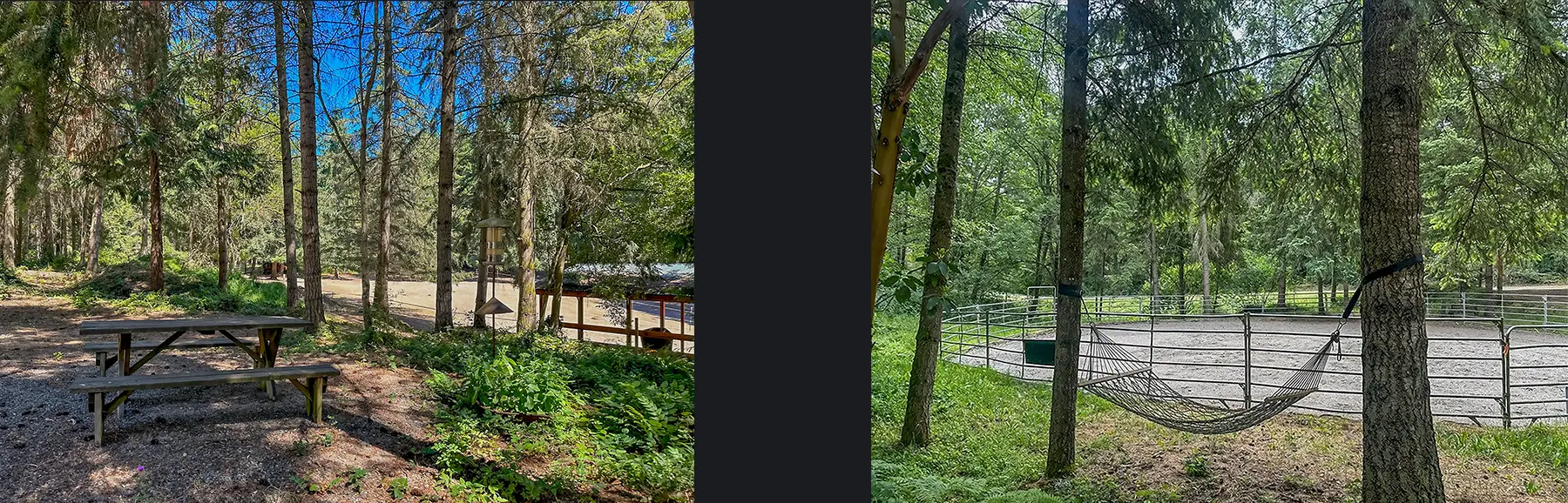 Looking from the picnic table into the paddock and through the hammock to the round pen