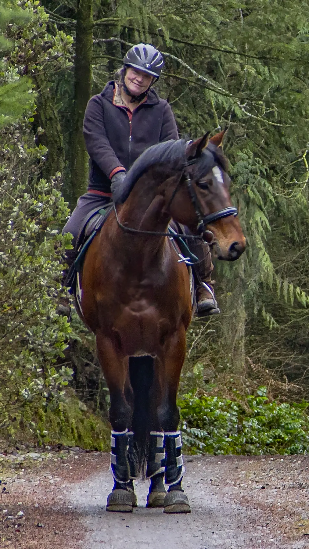 Heron Hill barn and paddock